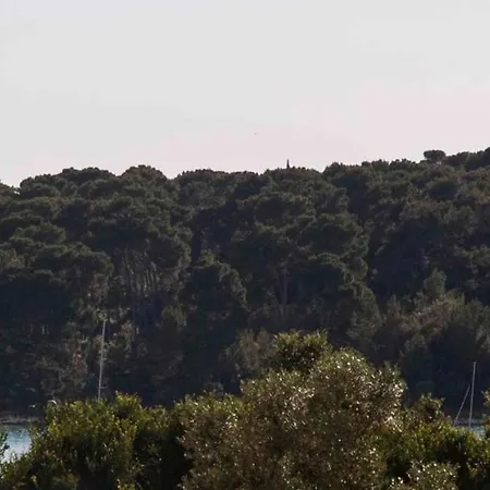 In Rovinj/istrien 11608 Apartment
